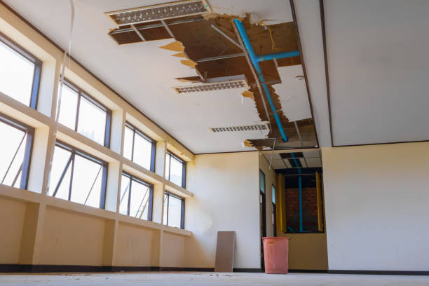 Best Local water damage restoration  in Center Line, MI