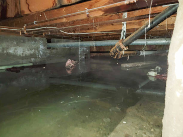Best Water damage restoration near me  in Center Line, MI