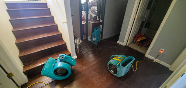 Best Emergency water damage restoration  in Center Line, MI