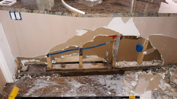 Best Water damage contractors near me  in Center Line, MI