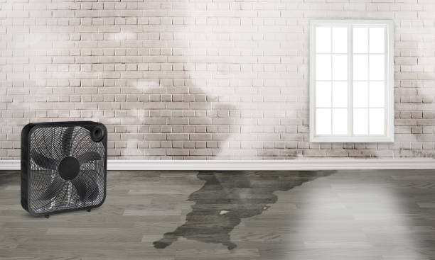 Best Emergency water damage restoration  in Center Line, MI