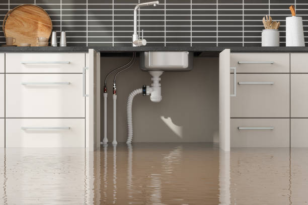 Best Commercial water damage restoration  in Center Line, MI