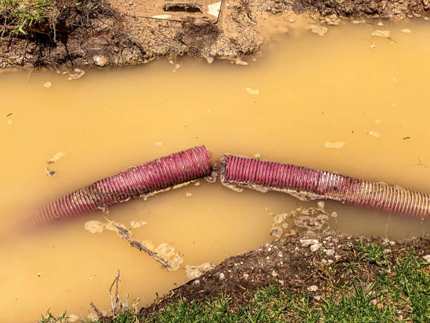 Best Sewage cleanup and water damage restoration  in Center Line, MI