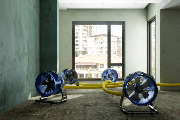 Reliable Center Line, MI Water damage restoration Solutions